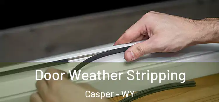 Door Weather Stripping Casper - WY