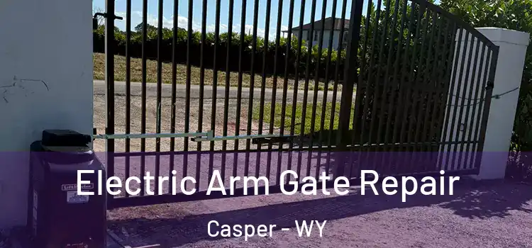 Electric Arm Gate Repair Casper - WY