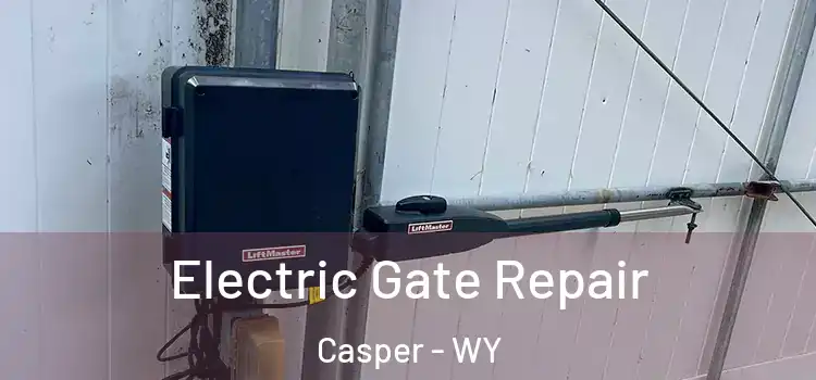 Electric Gate Repair Casper - WY