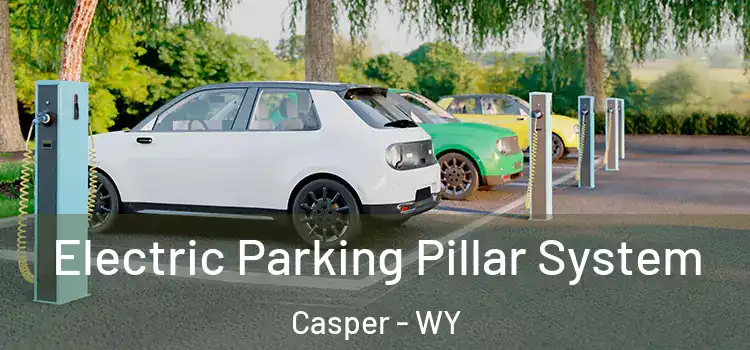 Electric Parking Pillar System Casper - WY