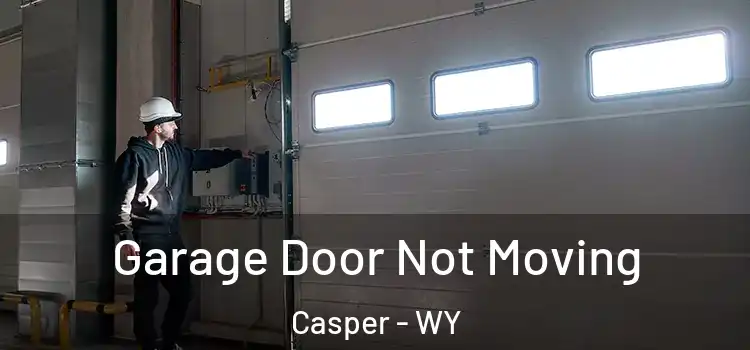  Garage Door Not Moving Casper - WY