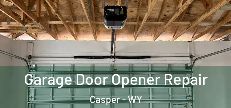  Garage Door Opener Repair Casper - WY