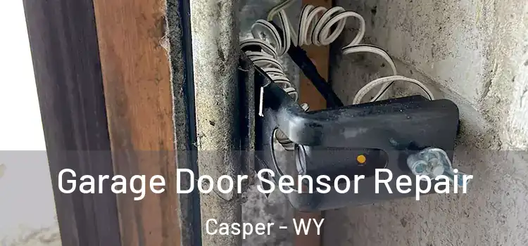 Garage Door Sensor Repair Casper - WY