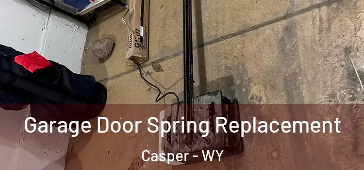  Garage Door Spring Replacement Casper - WY