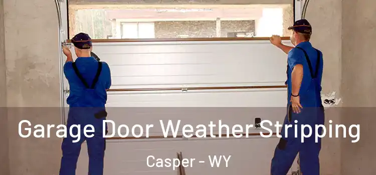  Garage Door Weather Stripping Casper - WY