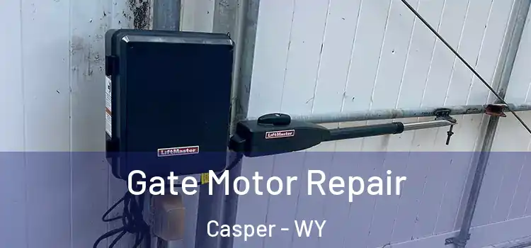 Gate Motor Repair Casper - WY