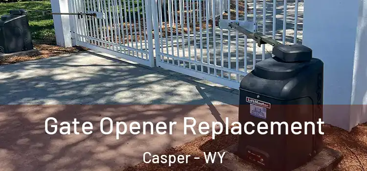 Gate Opener Replacement Casper - WY
