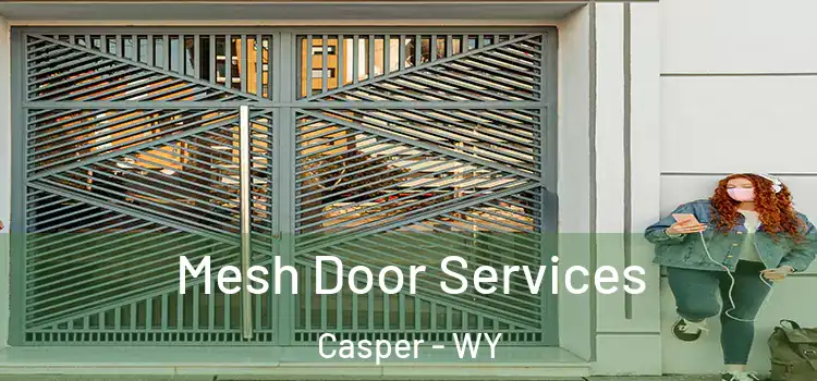 Mesh Door Services Casper - WY