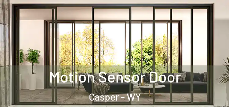 Motion Sensor Door Casper - WY